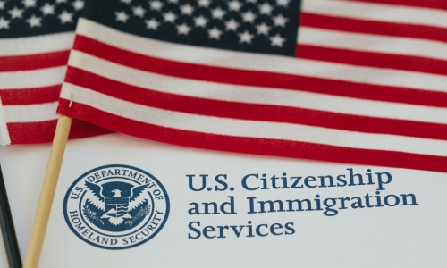 Citizenship and Naturalization with Immigration Spurgin